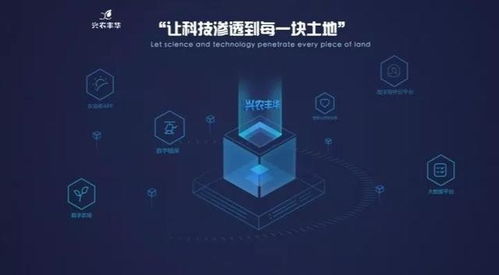 興農豐華與國家玉米改良中心達成戰(zhàn)略合作 信息技術驅動玉米工程化育種創(chuàng)新